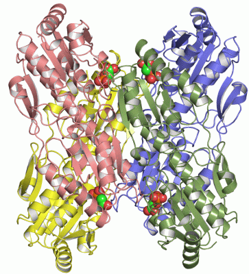 Image Asym./Biol. Unit - manually