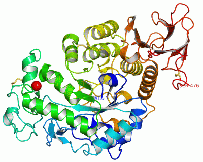 Image Asym./Biol. Unit - manually