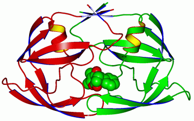 Image Asym./Biol. Unit - manually
