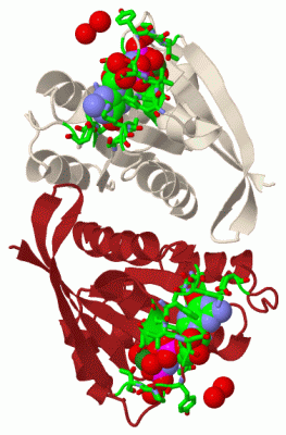 Image Biol.Unit 1 - manually