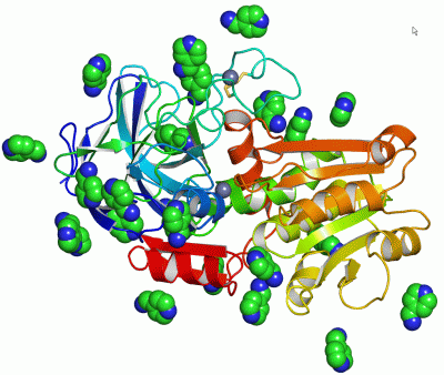 Image Asym./Biol. Unit - manually