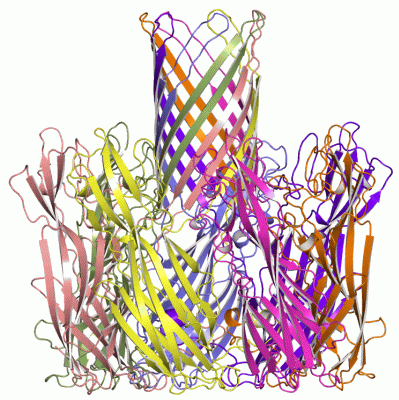 Image Asym./Biol. Unit - manually