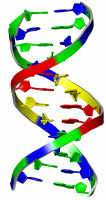 Image Asym./Biol. Unit - manually