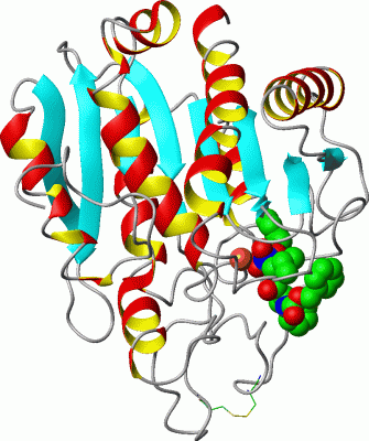 Image Asym./Biol. Unit - manually