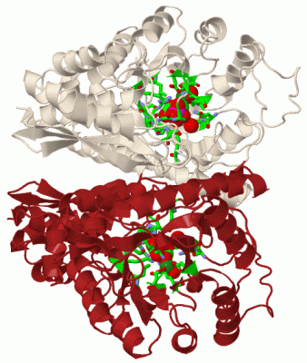 Image Biol.Unit 1 - manually