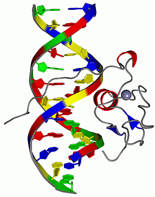 Image NMR Structure - manually