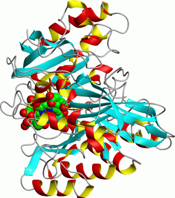 Image Asym./Biol. Unit - manually