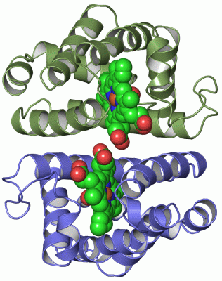 Image Asym./Biol. Unit - manually