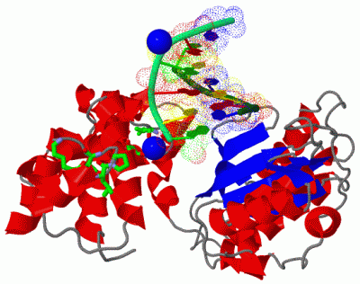 Image Asym./Biol. Unit - manually