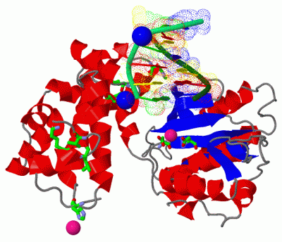 Image Asym./Biol. Unit - manually