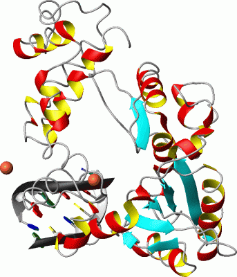 Image Asym./Biol. Unit - manually