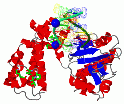 Image Asym./Biol. Unit - manually