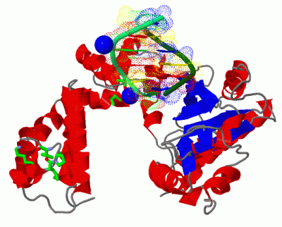 Image Asym./Biol. Unit - manually