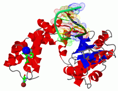 Image Asym./Biol. Unit - manually