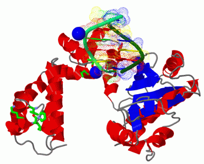 Image Asym./Biol. Unit - manually