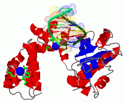 Image Asym./Biol. Unit - manually