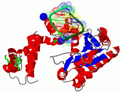 Image Asym./Biol. Unit - manually