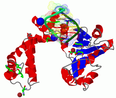 Image Asym./Biol. Unit - manually