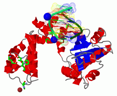 Image Asym./Biol. Unit - manually