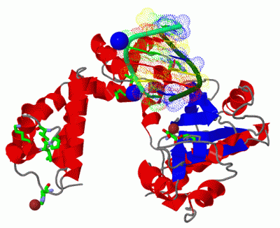 Image Asym./Biol. Unit - manually