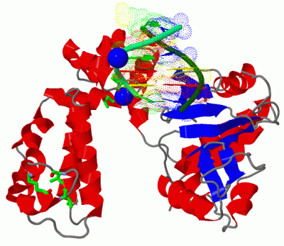 Image Asym./Biol. Unit - manually