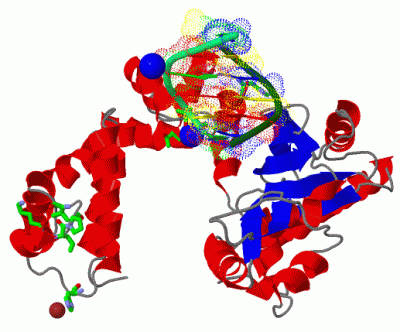 Image Asym./Biol. Unit - manually