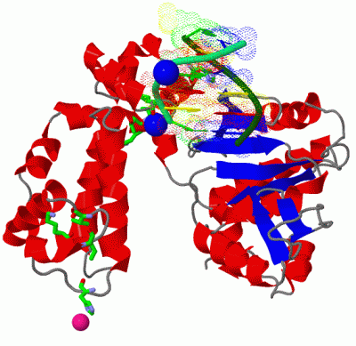 Image Asym./Biol. Unit - manually