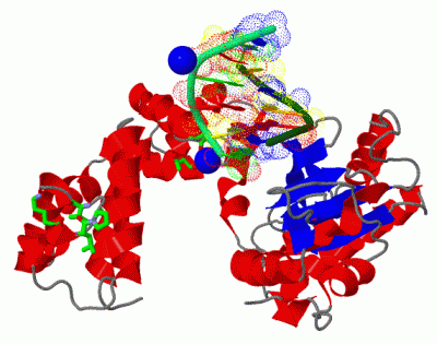 Image Asym./Biol. Unit - manually