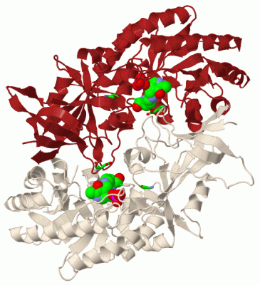 Image Biol.Unit 1 - manually