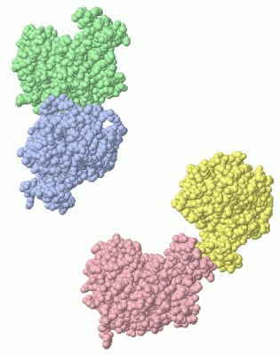 Image Asym./Biol. Unit - manually