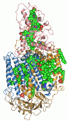 Image Asym./Biol. Unit - manually