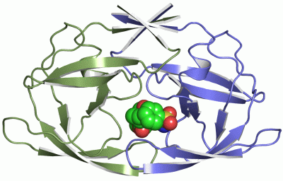 Image Asym./Biol. Unit - manually