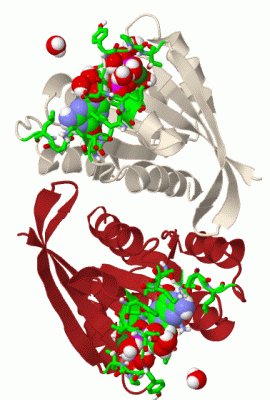 Image Biol.Unit 1 - manually