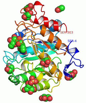 Image Asym./Biol. Unit - manually