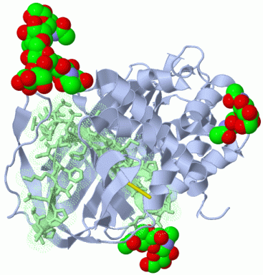 Image Asym./Biol. Unit - manually