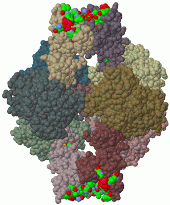 Image Biol.Unit 1 - manually