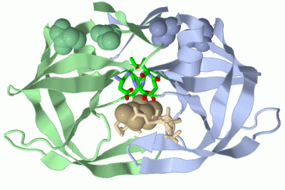 Image Asym./Biol. Unit - manually