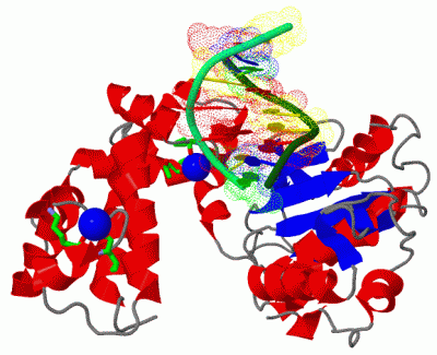 Image Asym./Biol. Unit - manually