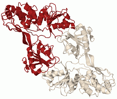 Image Biol.Unit 1 - manually