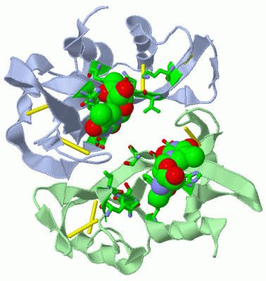 Image Asym./Biol. Unit - manually