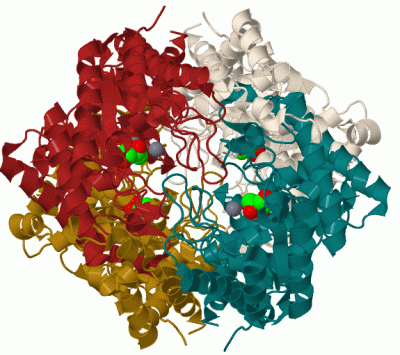 Image Biol.Unit 1 - manually