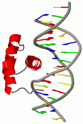 Image Biol.Unit 1 - manually