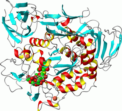 Image Asym./Biol. Unit - manually