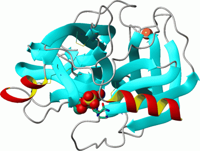 Image Asym./Biol. Unit - manually