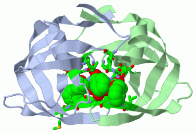 Image Asym./Biol. Unit - manually