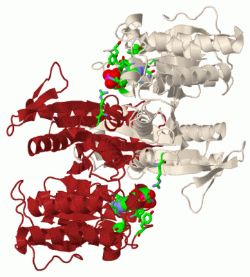 Image Biol.Unit 1 - manually