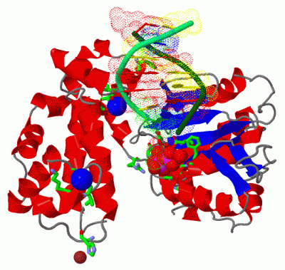 Image Asym./Biol. Unit - manually