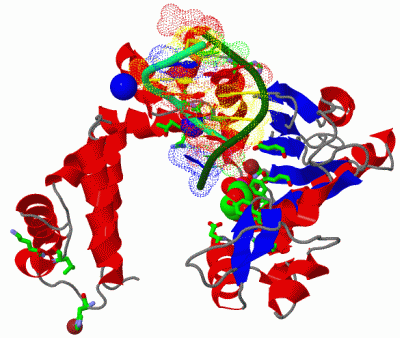 Image Asym./Biol. Unit - manually