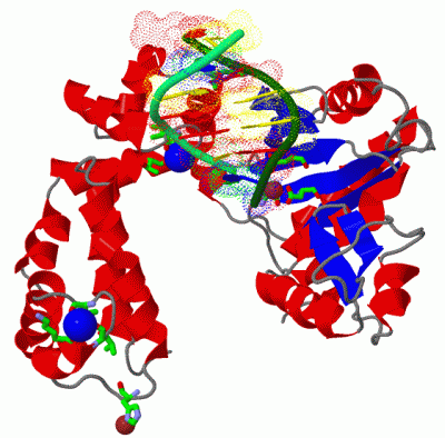 Image Asym./Biol. Unit - manually