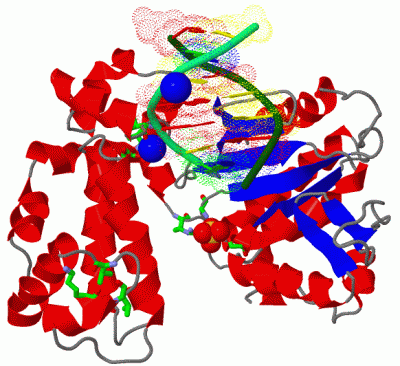 Image Asym./Biol. Unit - manually